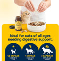 FiberSyl Prebiotics for Cats Digestive Health - Cat Fiber Supplements for Constipation Relief & Support - Psyllium Husk Seed to Support Digestion Problems - Cat Stool Hardener - 60 Capsules