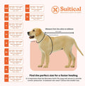 Suitical Recovery Suit for Dogs - XL Black - Dog Surgery Recovery Suit with Clip-Up System, Breathable Fabric for Spay, 