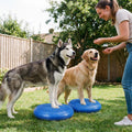 Shappy 2 Pcs Dog Balance Disc Cushion 14"