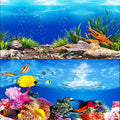 H:19.5"x L:48"/Sea World
