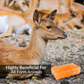 100% Natural Himalayan Rock Deer Salt Licking Block - Animal Licking Mineral Salt Block, Natural Feed Salts Bricks For D