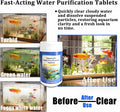 Fish Tank Water Purification Tablets - Clarify Water (1)