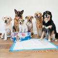 Four Paws Wee-Wee Superior Performance Pee Pads for Dogs with Runoff Barrier Edge Guard Protection, Puppy & Dog Potty Training Pads, Housebreaking Supplies, 27.5" x 44" (18 Count)