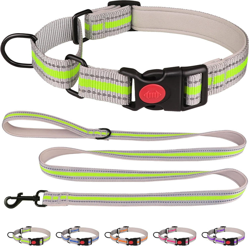 Martingale Collar for Dogs,Soft Neoprene Padded Reflective Martingale Collar and Leash Set Safety Buckle Nylon Martingal