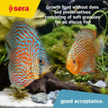 Sera Discus Prob Granules 4 oz | Discus Fish Food with Probiotics