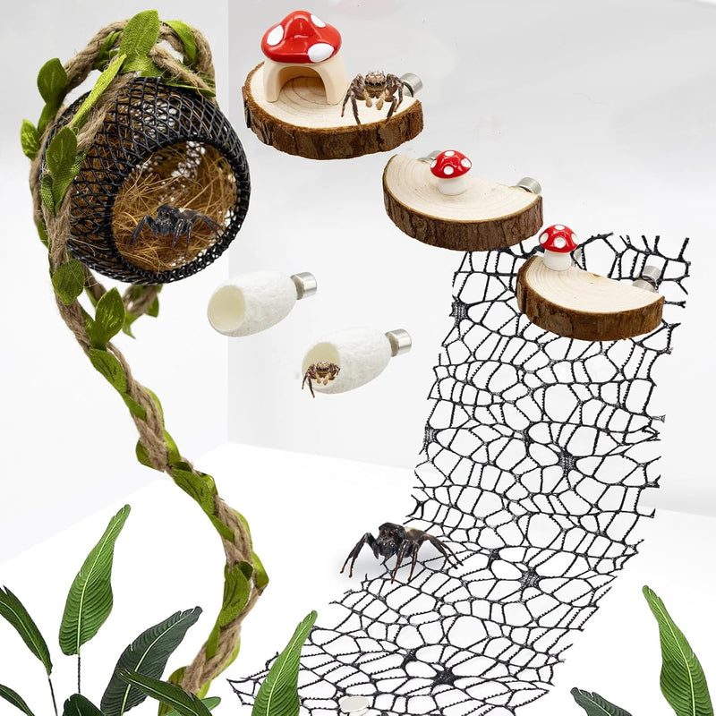 Jumping Spider Habitat Accessories Enclosure Habitat Accessories Jumping Spider Web Climbing and Feeding Platforms with 