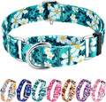 Hikiko Martingale Dog Collar Without Buckle,Escape Proof No Pull,M