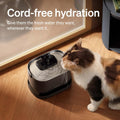 PETLIBRO Cat Water Fountain, Cordless Pet Water Fountain Battery Operated, 2.5L/84oz Dockstream Water Fountains for Cats