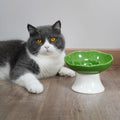 Ceramic Slow Feeder Bowl for Cats and Small Dogs, Elevated Tilted Pet Food Dish, Whisker Friendly Anti-Vomit Design, Hea