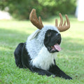 Onmygogo Funny Pet Reindeer Moose Costumes for Dog, Cute Furry Pet Wig for Halloween Christmas, Pet Clothing Accessories