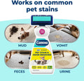 Carbona 2-in-1 Oxy-Powered Pet Stain & Odor Remover, 22 Fl Oz