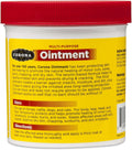 Manna Pro Corona Liniment & Multi-Ointment Variety Pack, 2 Pack | Horse Care Combo for Joints, Muscles, Skin & Coat Rout
