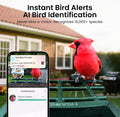 Smart Bird Feeder with Camera Solar Powered 2K HD Video, 10,000+ Species AI Recognition, Real-Time App Alerts, and Weath