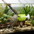 shuielai1PCS Turtle Brush with Suction Cup, Tank Scratch Scrub Back Shell Cleaner for Red Eared Slider, Exfoliate Remove