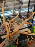 AWXZOM Natural Large Spider Wood Driftwood for Aquarium, Terrarium, Vivarium, and Reptile, Aquarium Décor, Reptile Tank,