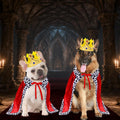 GOYOSWA Dog King Costume, Dog Halloween Costumes King Cloak Crown Set Funny King Prince Costume for Small Medium Large D