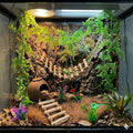 Crested Gecko Tank Accessories, Reptile Bridge and Plants with Coconut Shell Ladder Hideout, Natural Terrarium Decor for