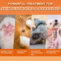 ZOXY Lime Sulfur Cream, Mange Treatment Dogs, Ringworm Treatment for Cats & Dogs, Soothes Itchy, Dry, Inflamed Skin, Promotes Hair Regrowth, Low Odor, No Rinse Needed, 2oz