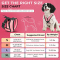 Gooby Comfort X Head in Harness - Pink, Small Harness Patented Choke-Free X Frame - Perfect on The Go Harness for Medium Dogs No Pull or Small Dogs for Indoor and Outdoor Use