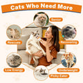 High Calorie Nutrition Gel for Cats, Cat Weight Gainer & Appetite Stimulant