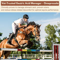 Omeprazole for Horses | Omeprazole Oral Paste – Prevent Gastric Ulcers in Horses, Guard Stomach Health for Training, Rac