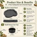 Bearded Dragon Food Bowl Set with Veggie Clips, Shallow Salad Dish