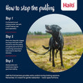 Halti No Pull Dog Harness | Size L, Black
