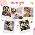 Small Dog Shirt Cute Puppy Cat T Shirts Clothes Soft Cotton Sleeveless Tee Shirts for Small Dogs Cats Doggy Vest Tee Shi