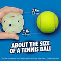 Chuckit! Air Glow Fetch Ball Dog Toy, Medium 2.5in