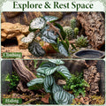 Suncalla 4 Pack Reptile Plants for Terrarium