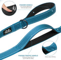 Twoear 6FT 1IN Heavy Duty Dog Leash for Large Dogs with 2 Padded Handles