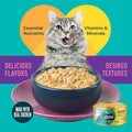 A Strong Heart Cat Food, Chicken & Pumpkin Shreds in Gravy, 3oz, 24pk