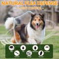 Carmelie Flea and Tick Prevention for Dogs, Supports Skin & Coat, 200 Chews