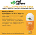 Vet Worthy Cat Hairball Remedy - Preventative Hairball Support for Cats with Pumpkin and Psyllium Husk for Added Fiber - Aids in Daily Cat Digestive Support & Furball Control - 60ct