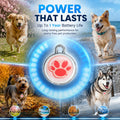 GPS Tracker for Dogs, Smart Pet Tracker Collar, Real-Time Location Tracking, Pet Location Tracker, No Monthly Fee, No SI