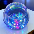 hygger 0.5 Gallon/1 Gallon Glass Fish Bowl with LED Light and Decor, Small Round Betta Fish Tank Goldfish Bowl, Round Cl