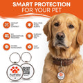 QR Code Dog Tag for Dogs & Cats – Smart Pet ID Tag – Scan to Contact Owner – No Subscription – Lost Pet Protection