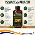 Healthy Paw Life Advanced Botanical Liniment for Horses, Dogs & Active Animals | Fast-Absorbing Daily-Use Formula