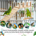 Sonwyoung 10 Pcs Parrot Swing Toys and Bird Perches Platform with Climbing Ladder Chewing Standing Hanging Parakeet Toys Bird Cage Accessories for Budgerigar Conure Cockatiel Finches Lovebirds