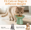 LoeJan Ceramic Cat Bowls, Elevated Cat Food and Water Bowls Set, Extra Wide and Raised Ceramic Bowls, Anti-Vomit Whisker