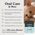 Arterra Dental Chews for Dogs (M-XL) with Nano-Nydroxyapatite 14 Count
