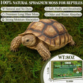 ZeeDix 8 OZ Premium Sphagnum Moss for Reptiles