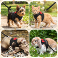 Rabbit Ferret Harness Bunny Harness and Leash Set Soft Breathable M