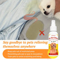 Petstoral Dog Potty Training Spray Set, No-Go and Here Potty Training Sprays for Dogs of All Ages Including Puppies