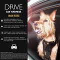 EzyDog Drive Dog Car Harness, Crash Tested and Certified - Medium
