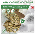 Nocciola 3 Pack Catnip Toys for Cats, Funny Cat Toys Filled with 100% Pure Organic Catnip, Safe Kitten Teething Chew and Kicker Toys, Stress Relieving Fun for I