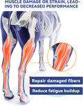 100-Day Supply Equine Body Repair Protein Supplement-Amino Acids Speed up Muscle Recovery After Exercise Promote Healthi