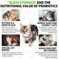 Cat Constipation Relief, Cat Laxative, Constipation Relief for Cat, Cat Laxative Constipation Relief, Constipation Relief for Cats, Cat Laxative Constipation Relief