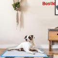 BESTLE Extra Large Pet Training and Puppy Pads Pee Pads for Dogs 28"x34" -40 Count Super Absorbent & Leak-Proof