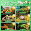 Reptile Heat Lamp Bulbs, UVA Reptile Heat Bulb 2 Pack, 40 Watt Heat Light Bulbs, Daylight Basking Spot Light for Lizard,